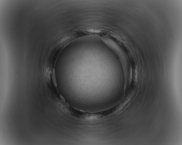 X0000088380235200705221100