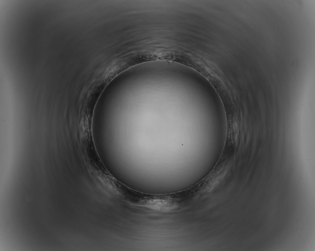 X0000088380236200705221100