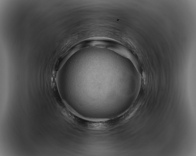 X0000088380237200705221100