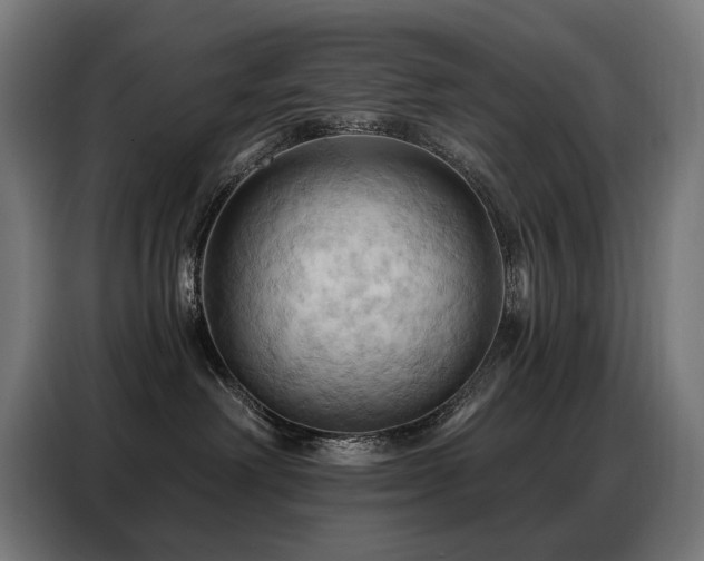 X0000088380238200705221100