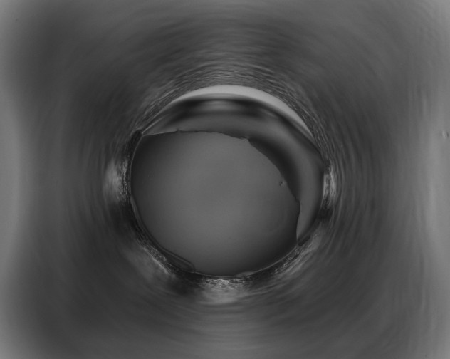 X0000088380239200705221100