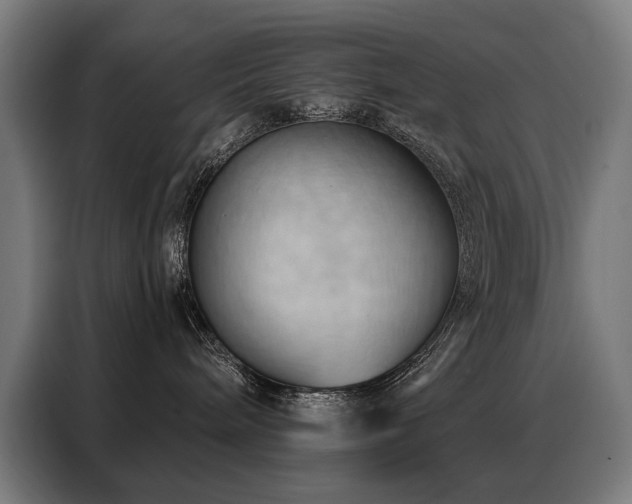 X0000088380240200705221100