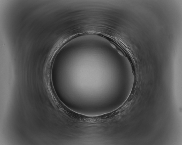 X0000088380241200705221059