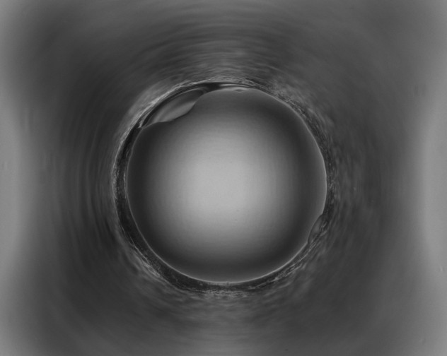 X0000088380242200705221059