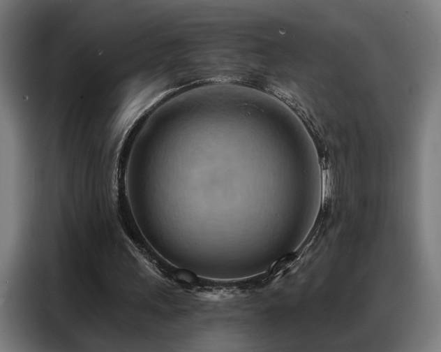 X0000088380243200705221059