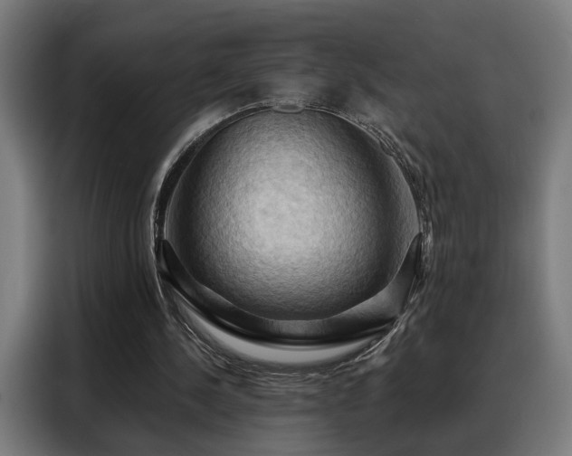 X0000088380244200705221059