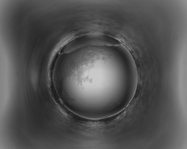 X0000088380245200705221059