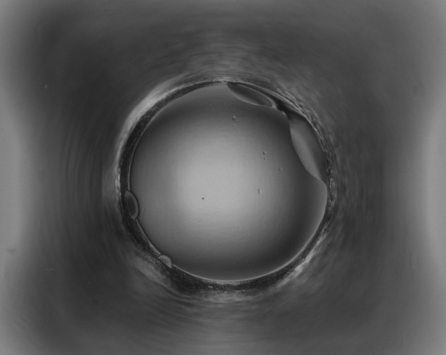 X0000088380246200705221059
