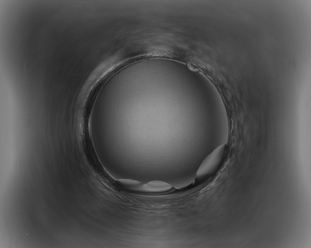 X0000088380247200705221059