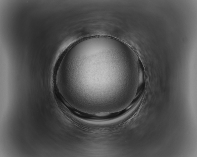 X0000088380248200705221059