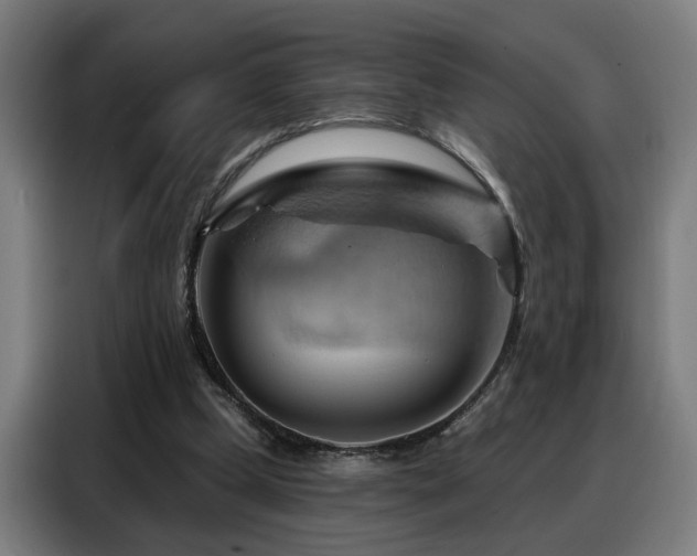 X0000088380249200705221059
