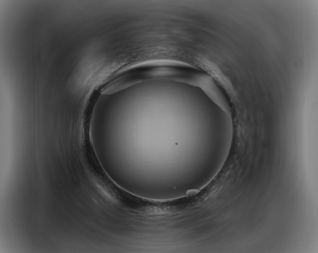X0000088380250200705221059