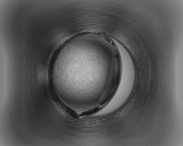 X0000088380252200705221059