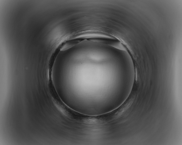 X0000088380253200705221059