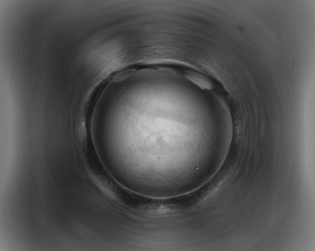 X0000088380254200705221059