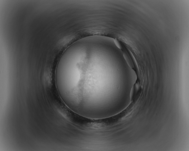 X0000088380255200705221059