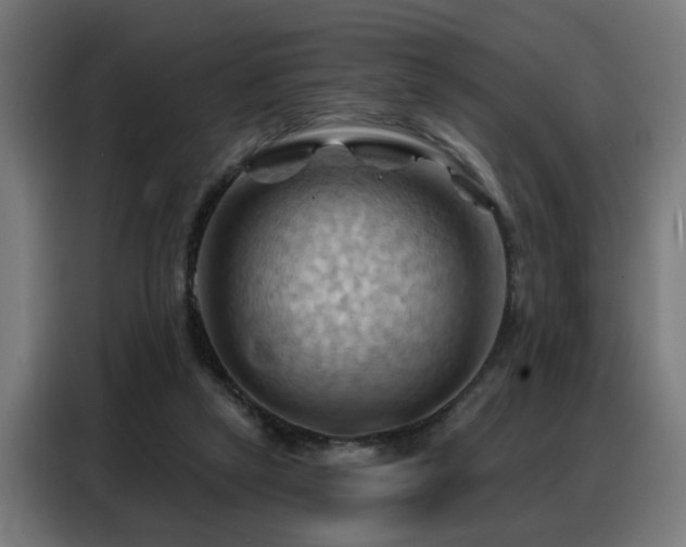 X0000088380257200705221059