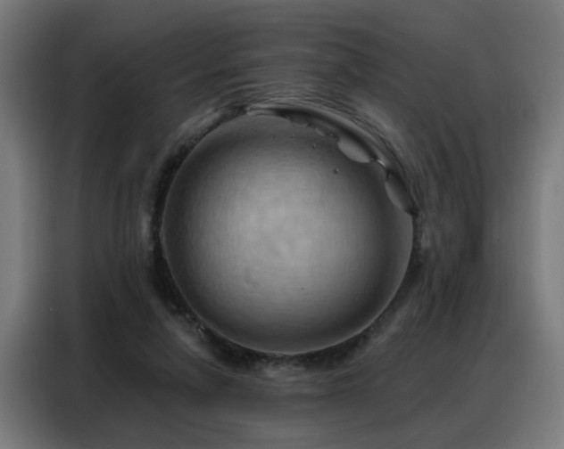 X0000088380258200705221059