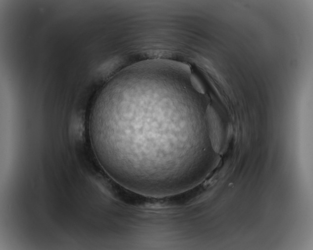 X0000088380259200705221059