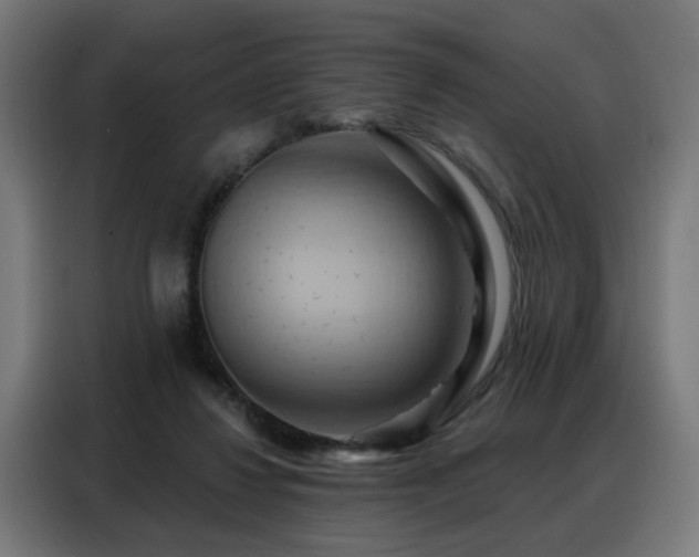 X0000088380260200705221059