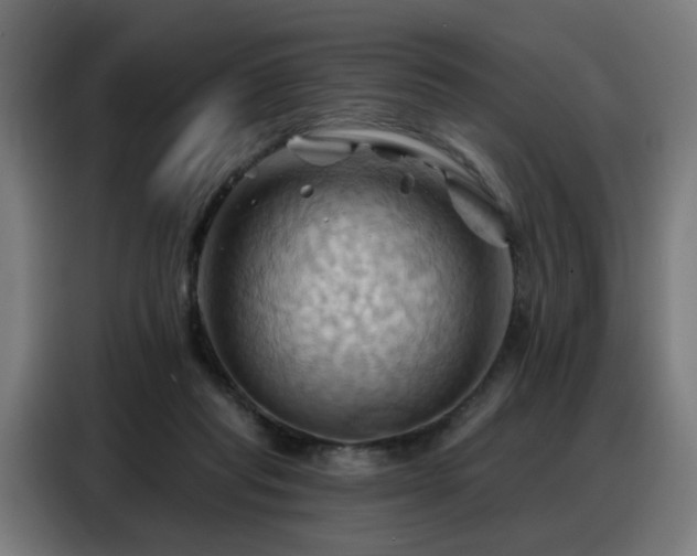 X0000088380261200705221059