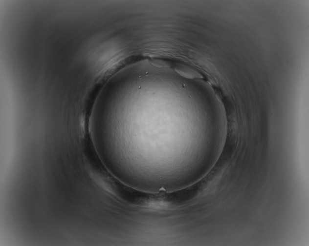 X0000088380262200705221059