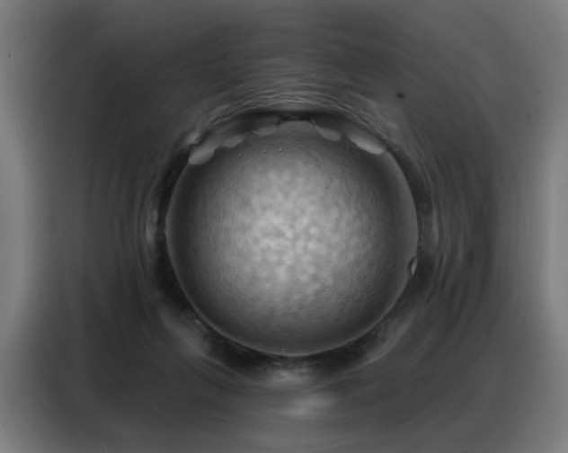 X0000088380263200705221059