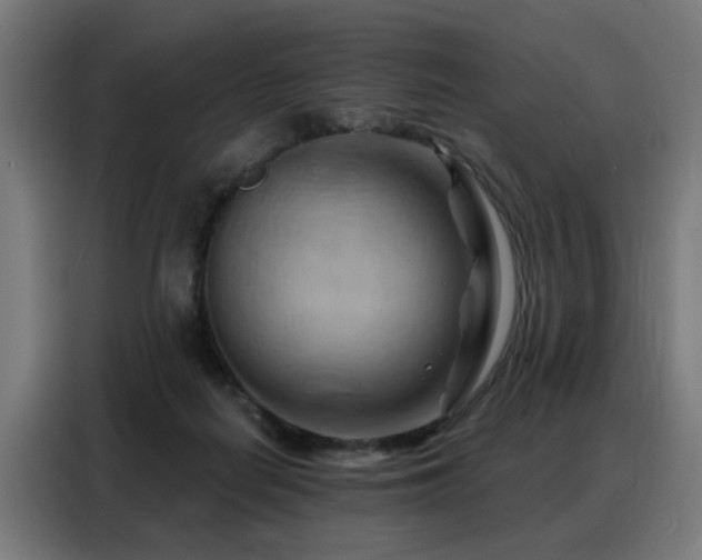 X0000088380266200705221059