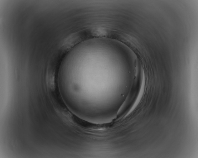 X0000088380267200705221059