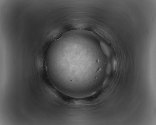 X0000088380268200705221059