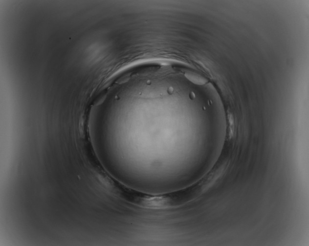 X0000088380269200705221059