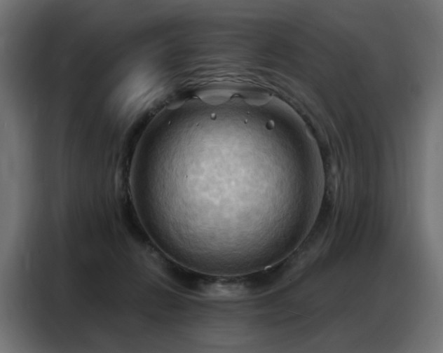 X0000088380270200705221059