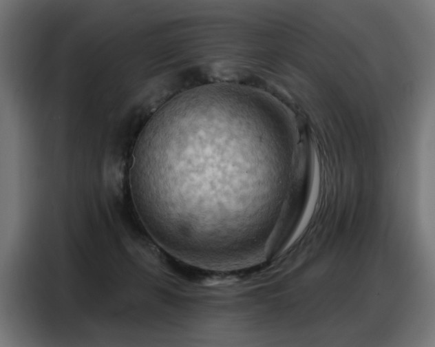 X0000088380271200705221059