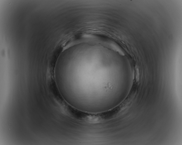 X0000088380272200705221059