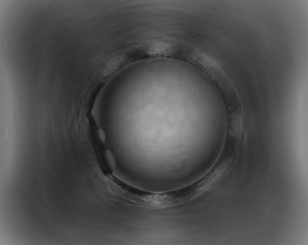 X0000088380273200705221059