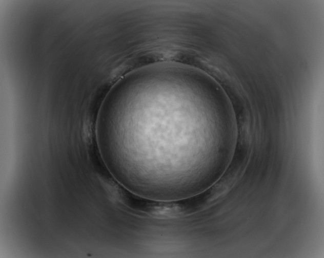 X0000088380274200705221059