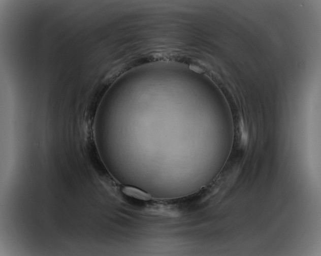 X0000088380276200705221059