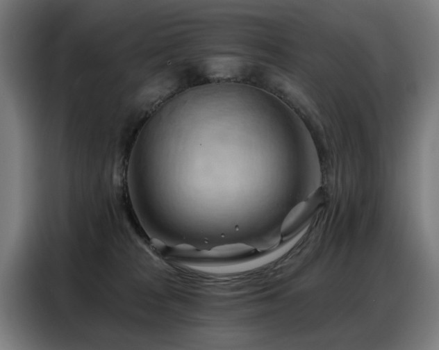 X0000088380277200705221100