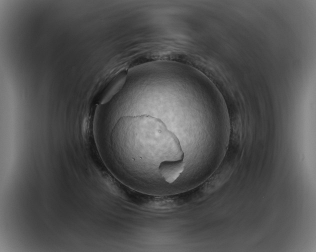 X0000088380278200705221100