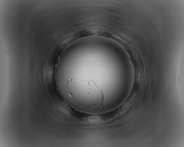 X0000088380279200705221100