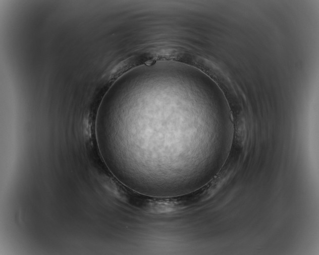 X0000088380282200705221100
