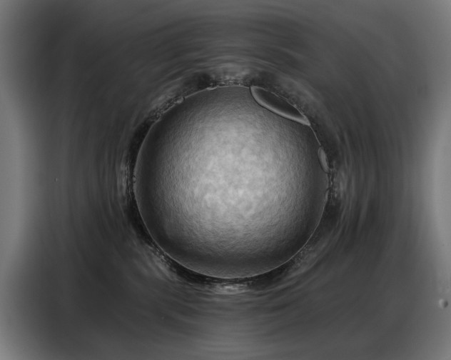 X0000088380283200705221100