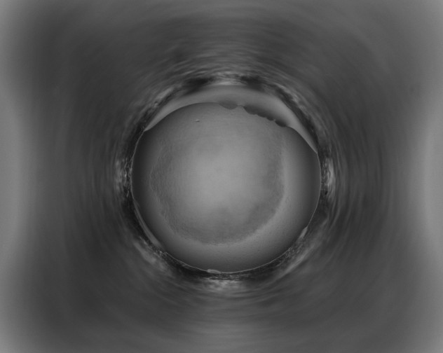 X0000088380284200705221100