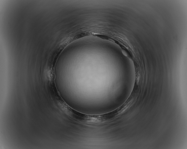 X0000088380285200705221100