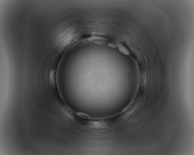 X0000088380286200705221100