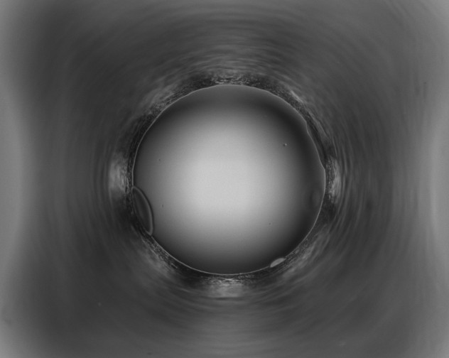 X0000088380287200705221100