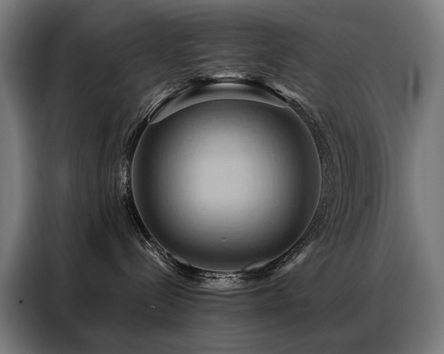 X0000088380288200705221100