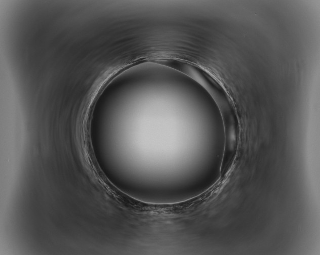 X0000088380289200705221059