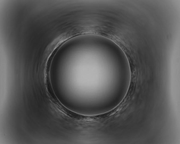 X0000088380290200705221059