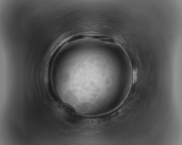 X0000088380291200705221059